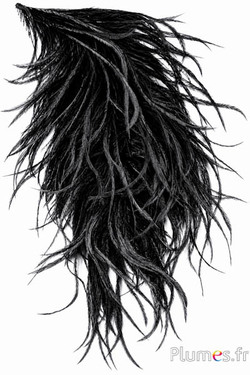 Struzzo ciocca - 10 cm - nero